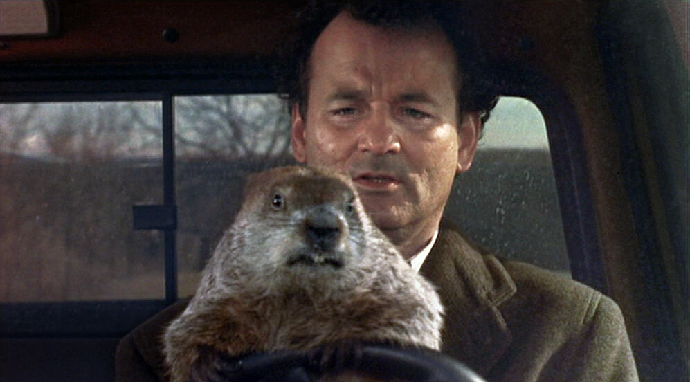 Still image from the movie Groundhog Day featuring Bill Murray and the groundhog driving a car.